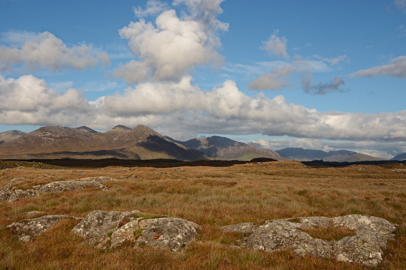 Einfach fantastisch bei dem Licht